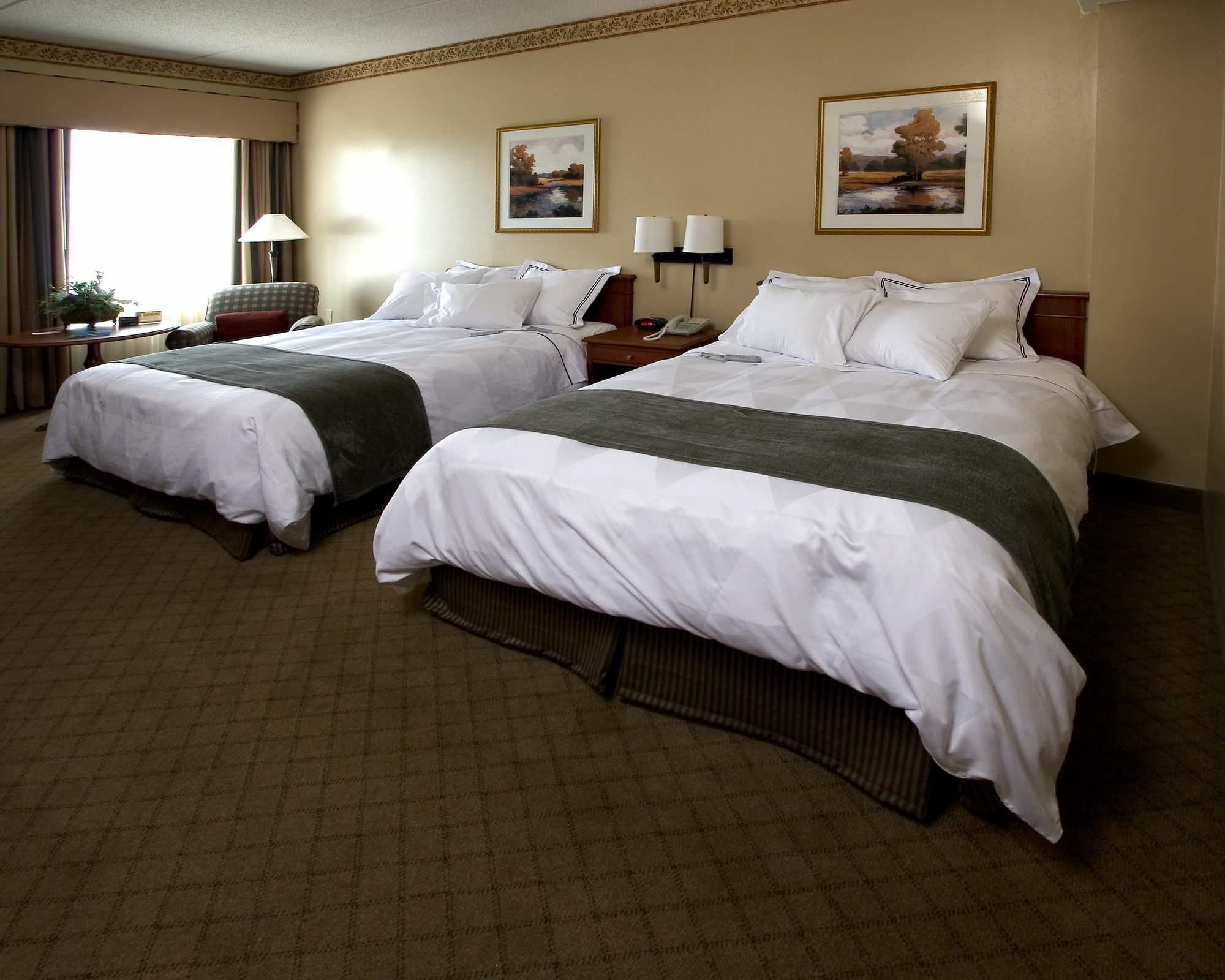 Hilton Appleton Paper Valley Bagian luar foto